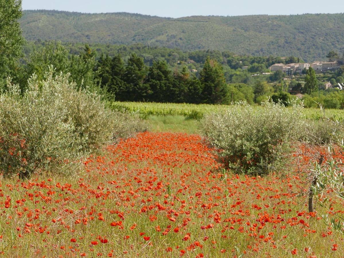 Chateau Des Gipieres Bij De Mont Ventoux モンブリュン・レ・バン エクステリア 写真
