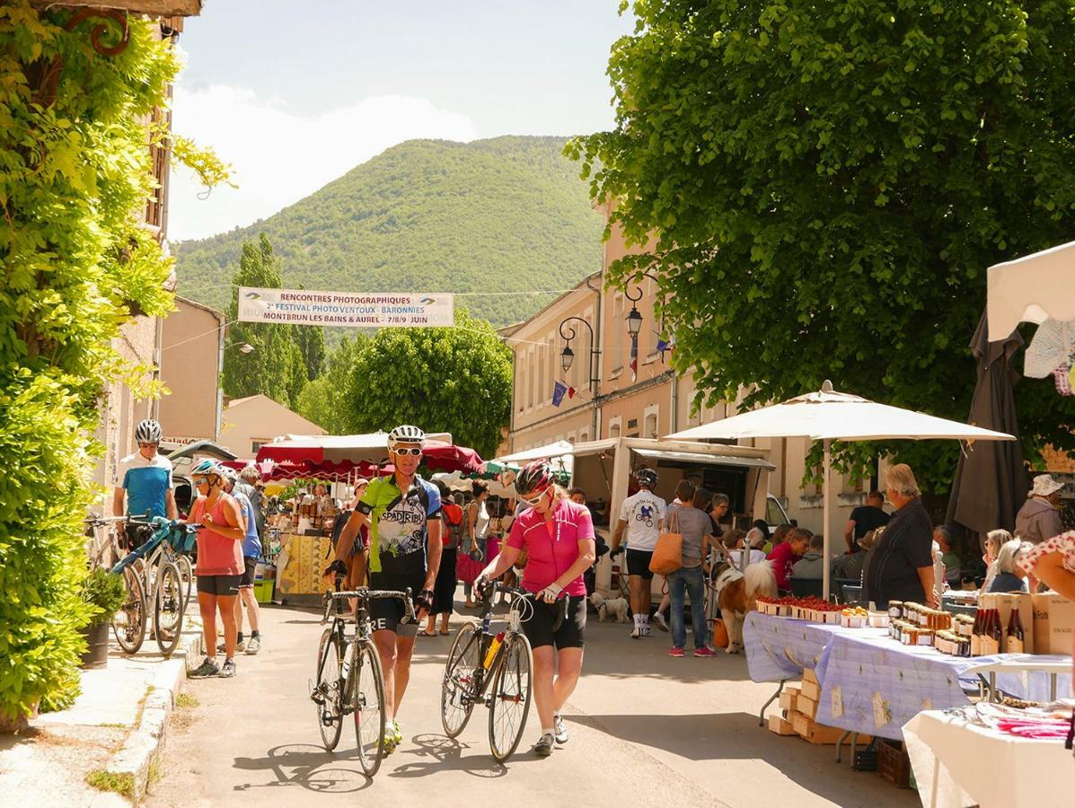 Chateau Des Gipieres Bij De Mont Ventoux モンブリュン・レ・バン エクステリア 写真