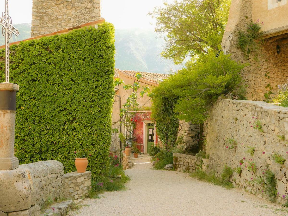 Chateau Des Gipieres Bij De Mont Ventoux モンブリュン・レ・バン エクステリア 写真