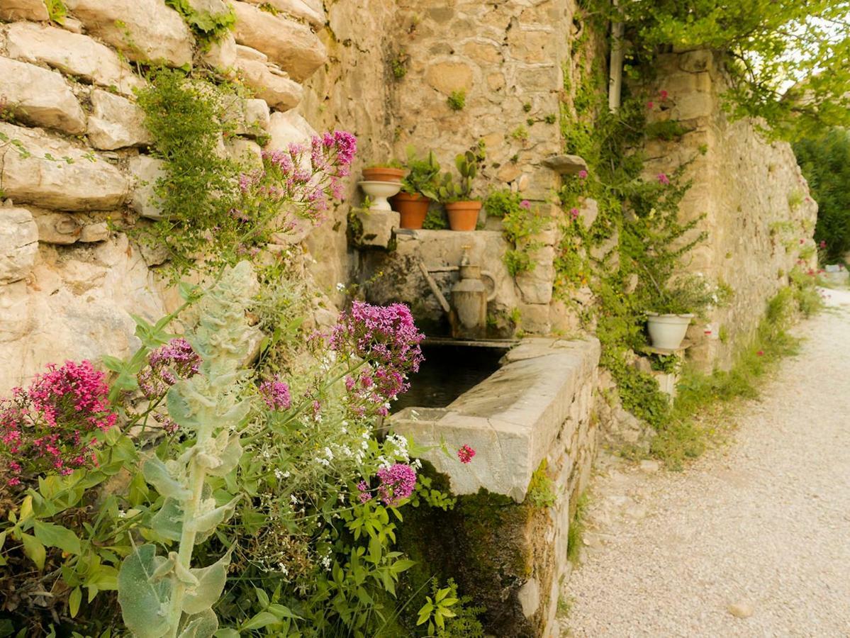 Chateau Des Gipieres Bij De Mont Ventoux モンブリュン・レ・バン エクステリア 写真